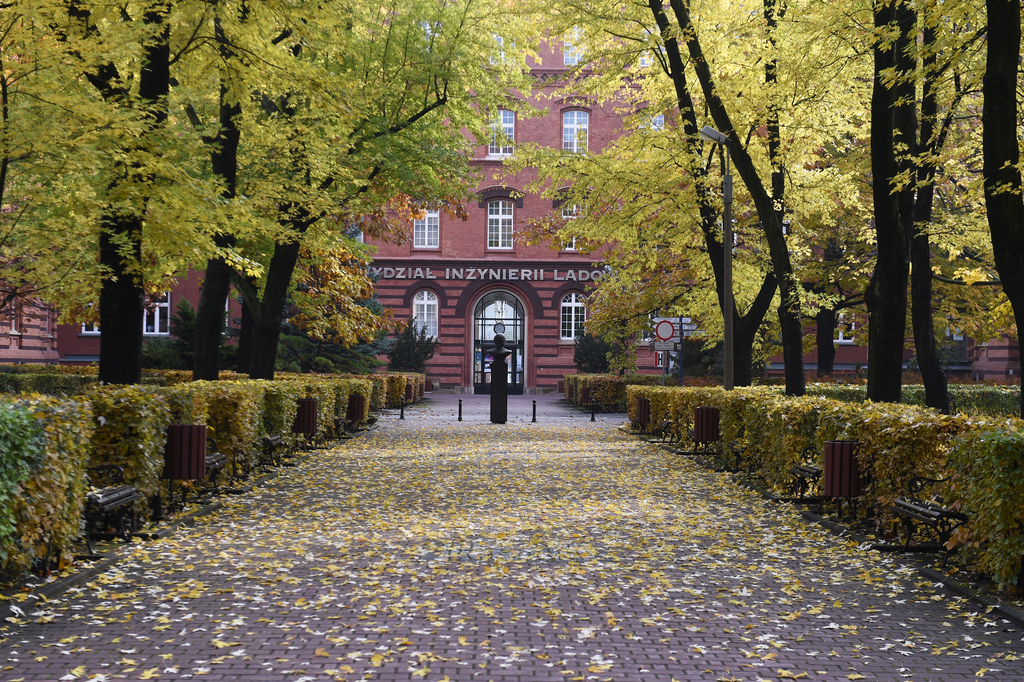 University courtyard